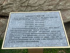 -棒棰岛宾馆景区