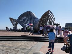 -南汇嘴观海公园