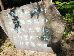 -高尔山公园