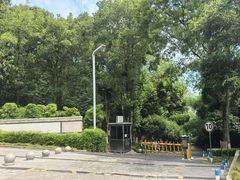 -重庆彩云湖湿地公园