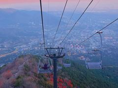 -香山公园