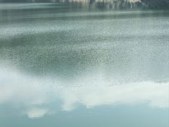 -孔雀湖生态旅游区