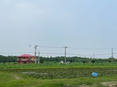 -嘉北郊野公园