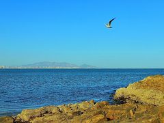 -北戴河碧螺塔海上酒吧公园