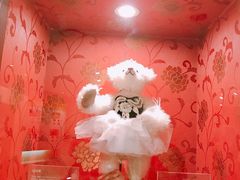 -济州岛泰迪熊博物馆