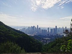 -南山植物园