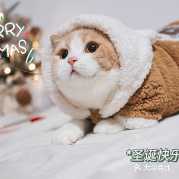 merry Christmas 圣诞快乐