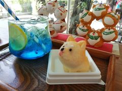 -柴犬高等学院·狗咖·柴犬售卖·宠物训练