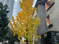 -徐家汇源景区-衡山坊