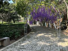 -宝岩生态观光园