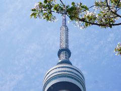 -龟山风景区-龟山电视塔