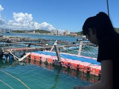 -广东惠东海龟国家级自然保护区