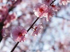 -白塘生态植物园