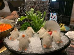 企鹅qq丸-湊湊火锅·茶憩(打浦桥日月光店)