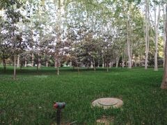 -河南省黄河迎宾馆