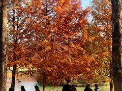 -应天大明王朝·南京菜(中山陵店)