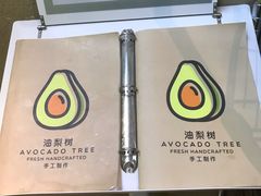 -油梨树AVOCADO TREE(顺义新国展店)