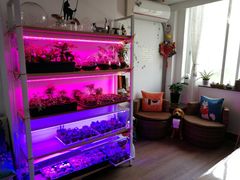 -A+匠心DIY手工坊·首饰·微景观