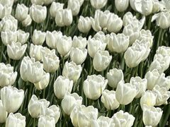 -玄武湖景区-情侣园游乐场