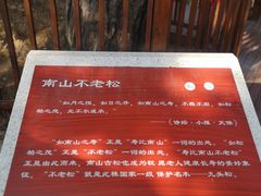 -终南山南五台景区