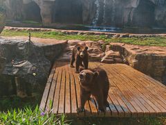 -海南热带野生动植物园