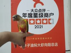 -小李子油焖大虾向阳总店