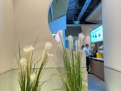 -蜜桃餐厅·伴山(绿宝广场店)