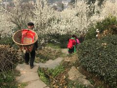 -樱桃山旅游景区
