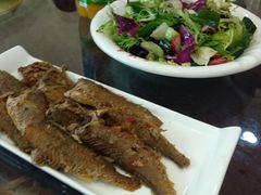 -正阳春鸭子楼(汉沽店)