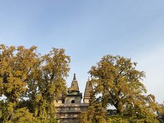 -北京石刻艺术博物馆(五塔寺)