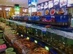 水产区-欢乐海岸美食联盟