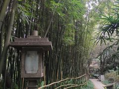 -广州兰圃