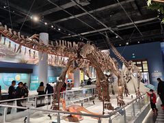 -国家自然博物馆