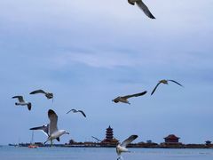 -八仙过海景区