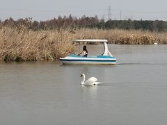 -宁波杭州湾国家湿地公园