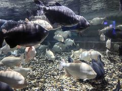 -成都浩海立方海洋公园