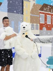 -Mr·Kuma酷么先生雪之乐园