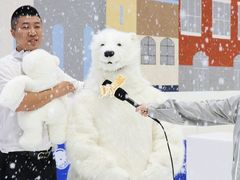 -Mr·Kuma酷么先生雪之乐园