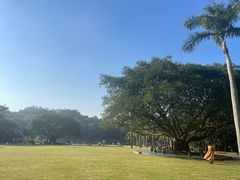 -深圳仙湖植物园