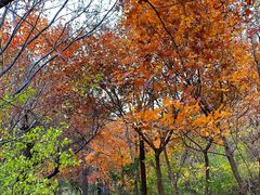 -云峰山自然风景区