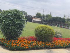 -洪湖家庭农场·团建·露营·会议