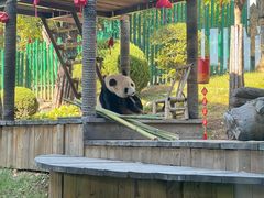 -大连森林动物园