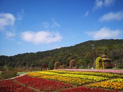 -广州市石门国家森林公园