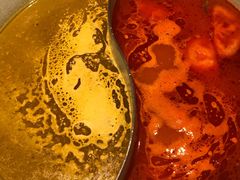 -青瓷火锅料理(西单大悦城店)