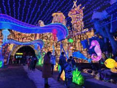 -重庆海昌加勒比海水世界