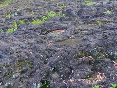 -海口火山口国家地质公园