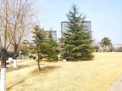 -丁家河公园