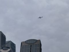 -刘七嬢烧麦刀削面