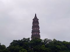 -顺峰山公园