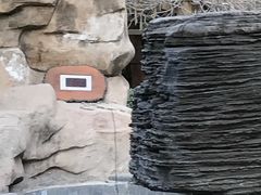 -顺景温泉